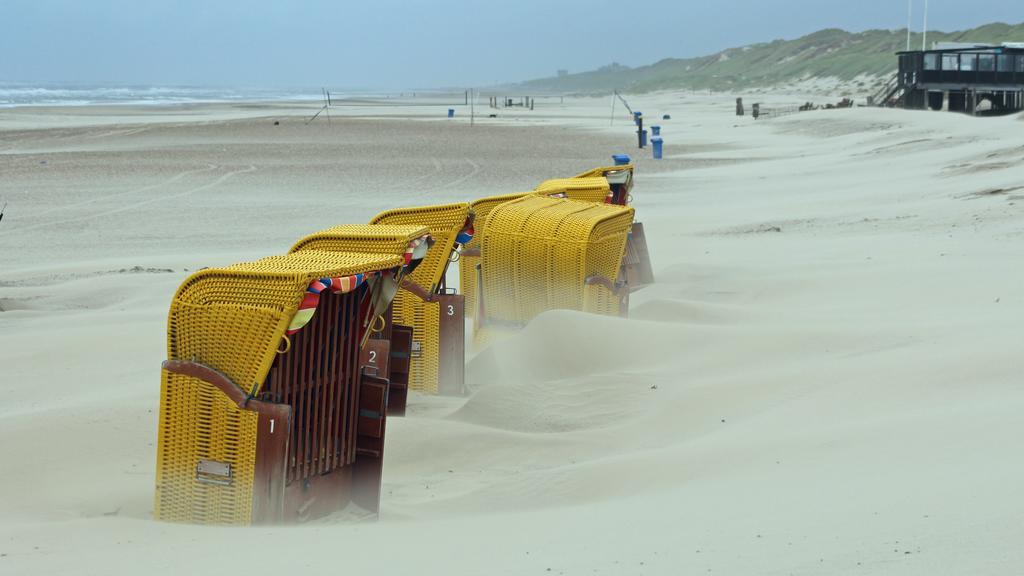 Beach House Sea-Esta Egmond aan Zee Exteriör bild